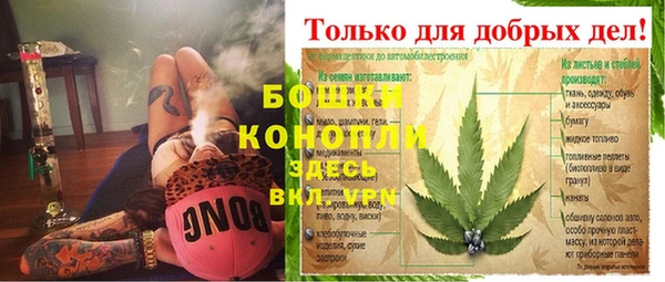 первитин Инсар