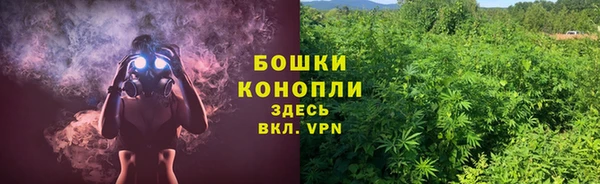 первитин Инсар